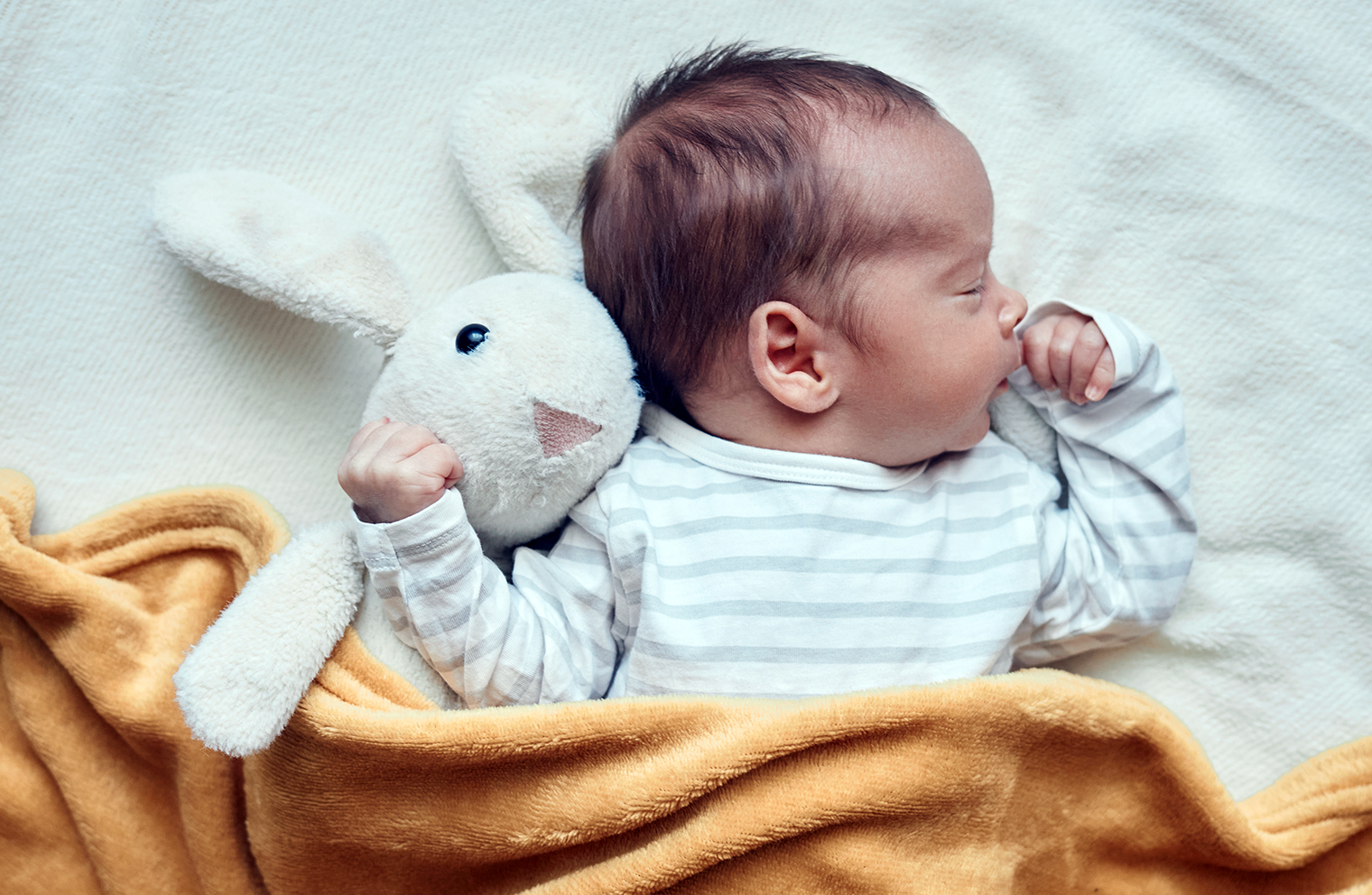 A sleeping baby boy with a plush rabbit